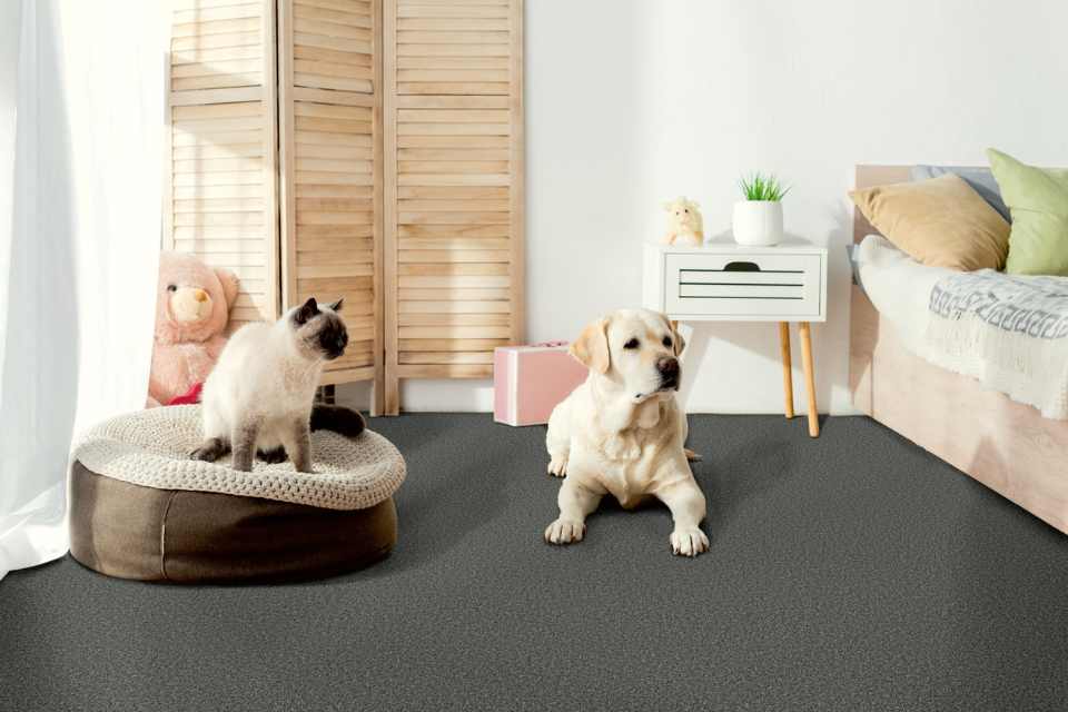waterproof, petproof carpet in kids bedroom with modern pink accents